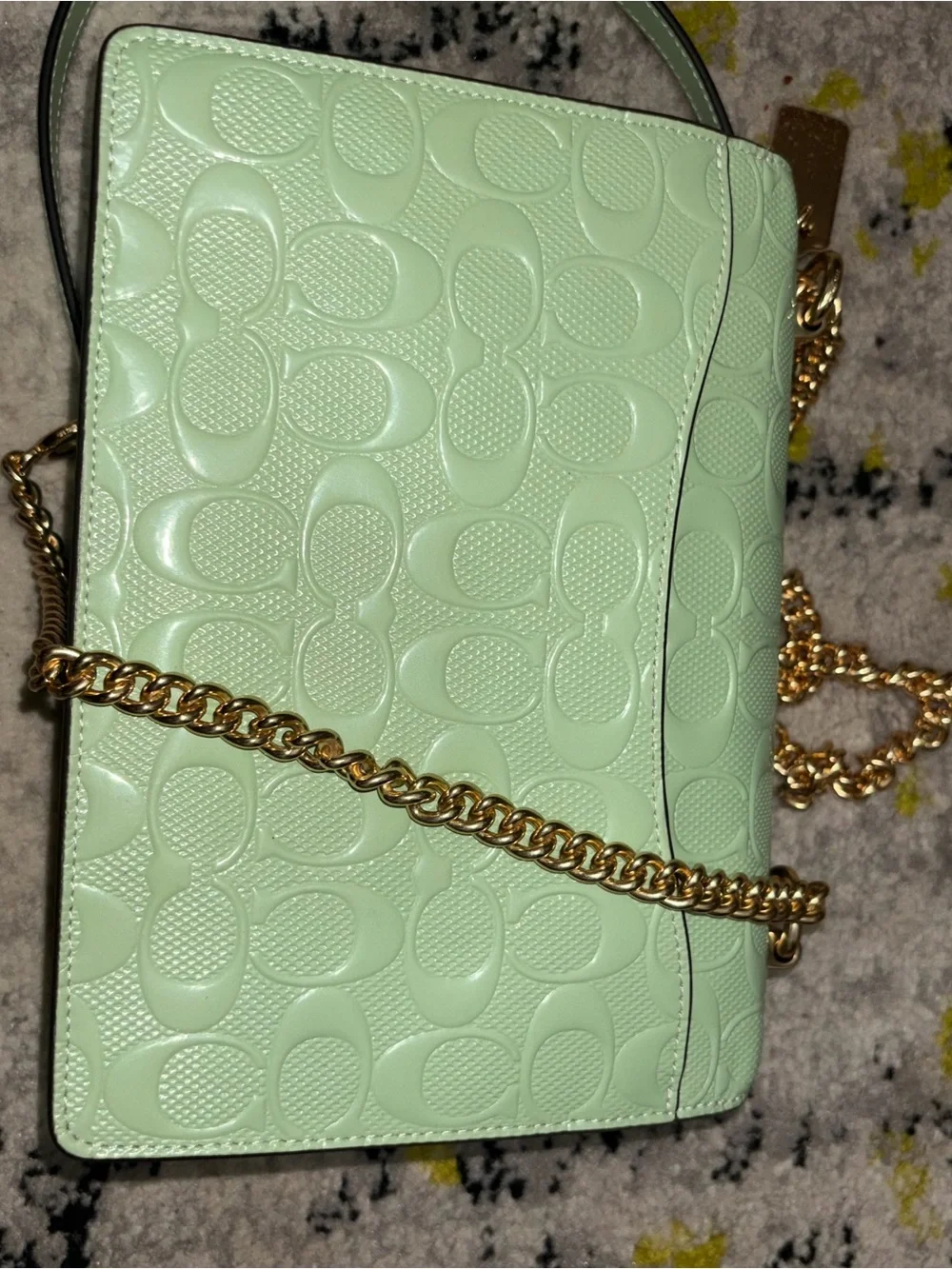 Coach Mint Green Embossed Leather Shoulder Bag with Gold Chain